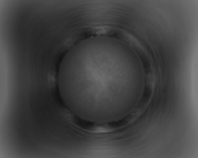 X0000095680510200801081231