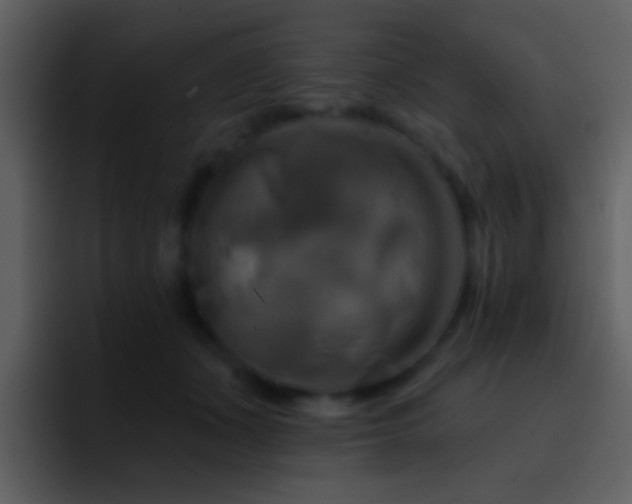 X0000095680511200801081231