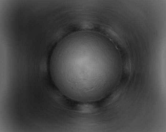 X0000095680512200801081231