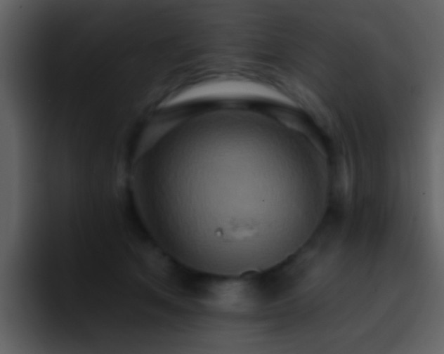 X0000095680513200801081231