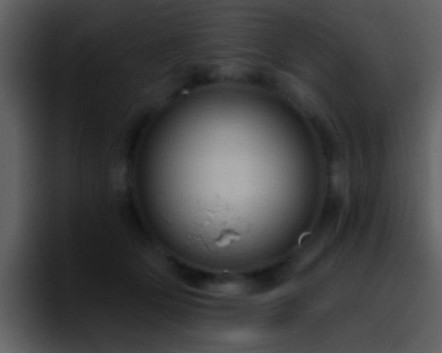 X0000095680514200801081231