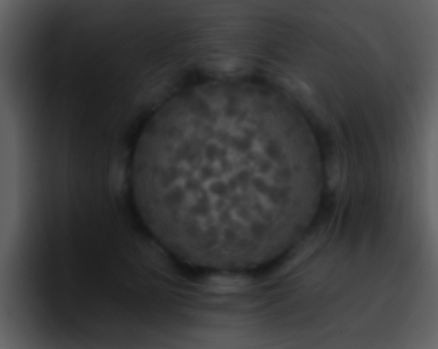 X0000095680515200801081231