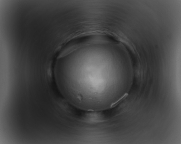 X0000095680516200801081231