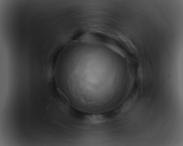 X0000095680517200801081231