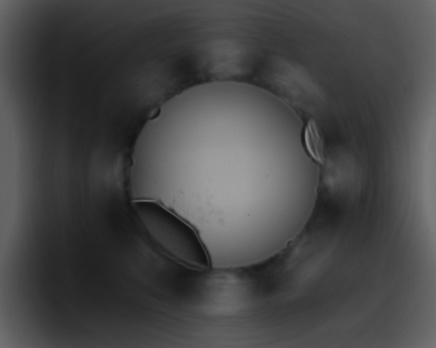 X0000095680519200801081231