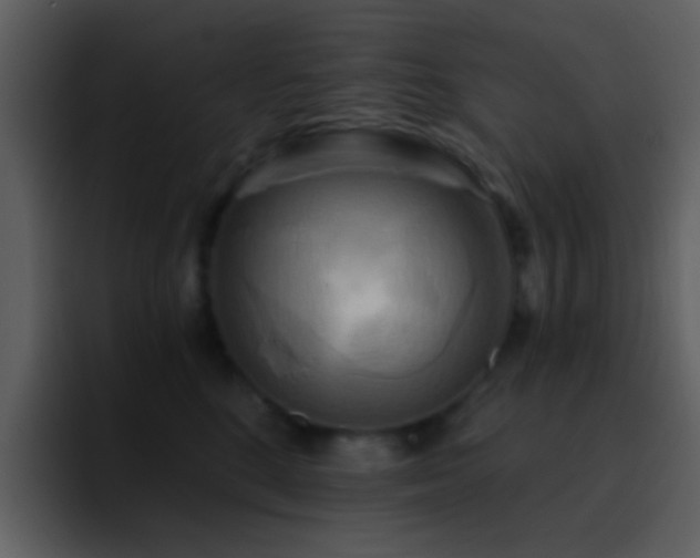 X0000095680520200801081231