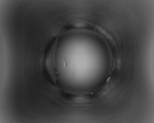 X0000095680521200801081231
