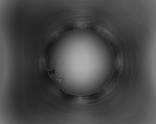 X0000095680522200801081231