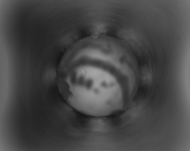 X0000095680523200801081231