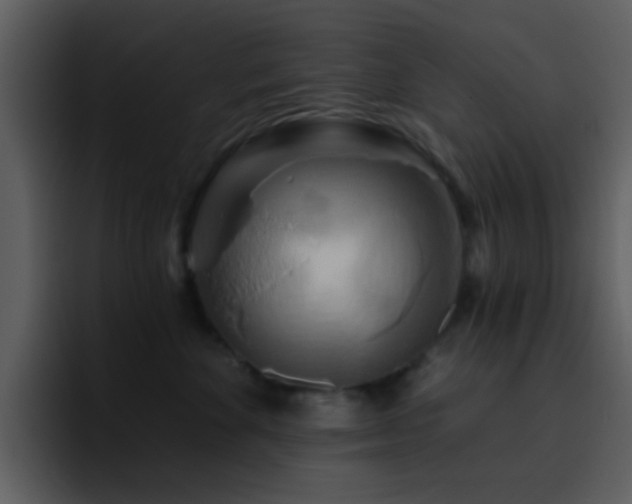 X0000095680524200801081231