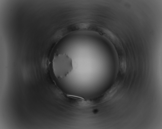 X0000095680525200801081231