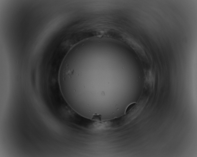 X0000095680526200801081231