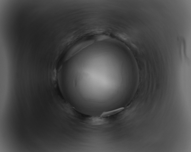 X0000095680528200801081231
