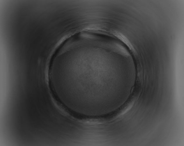 X0000095680530200801081231