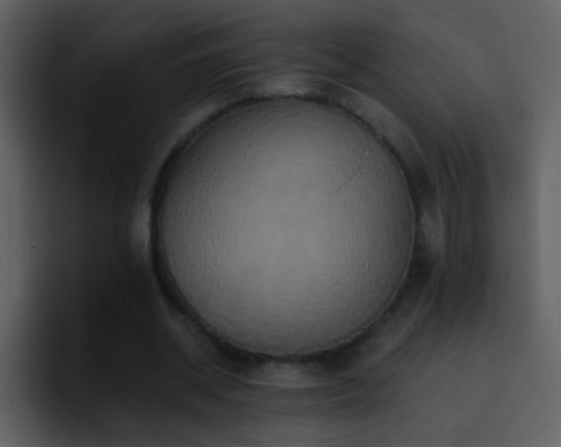X0000095680534200801081231