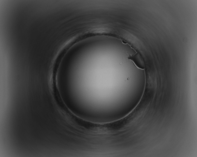X0000095680535200801081231