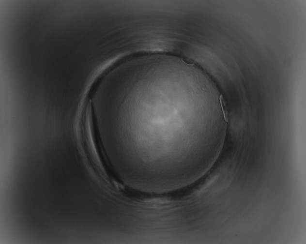X0000095680536200801081231