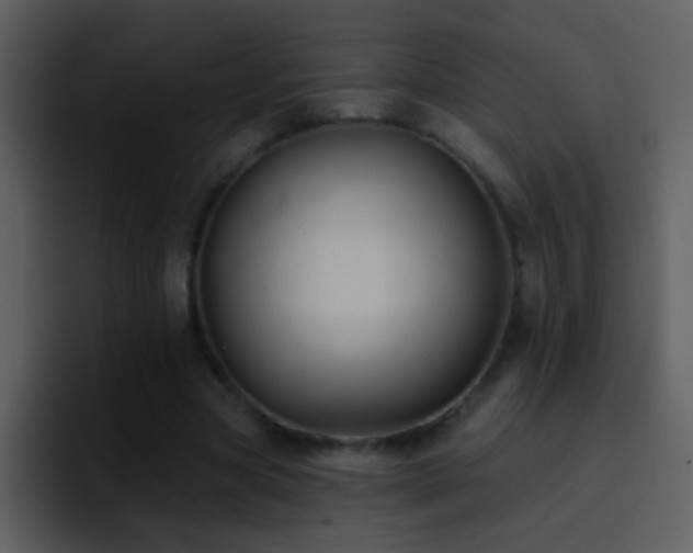 X0000095680537200801081231