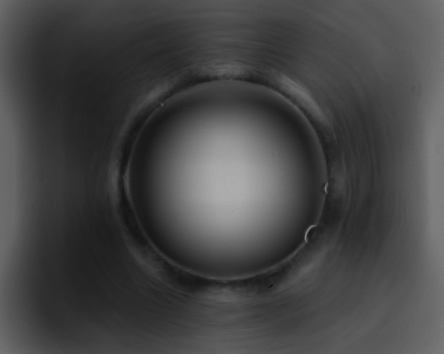 X0000095680538200801081231