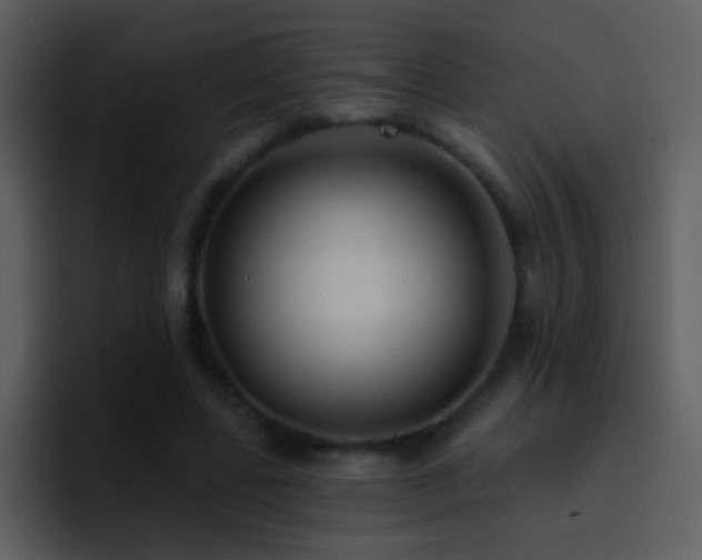 X0000095680539200801081231