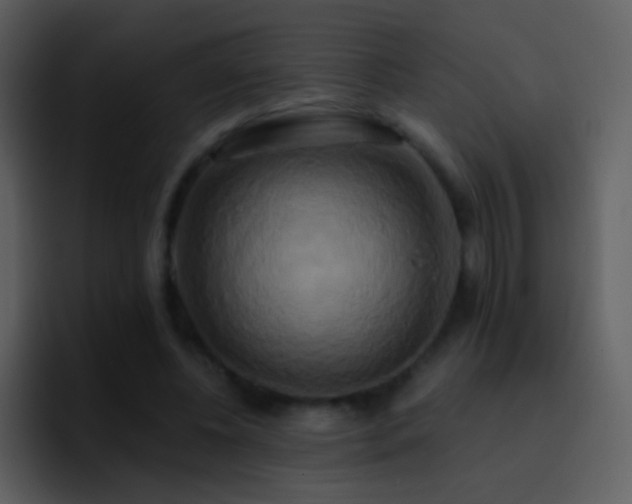 X0000095680540200801081231