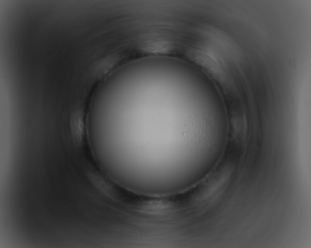 X0000095680541200801081231