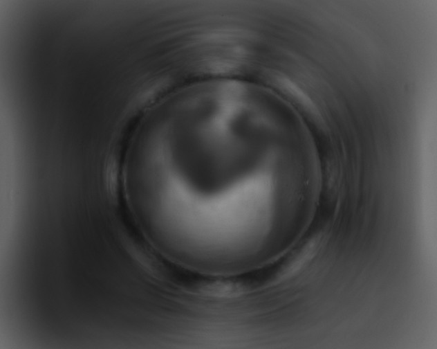 X0000095680542200801081231