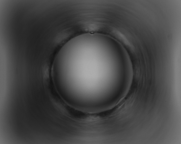 X0000095680543200801081231