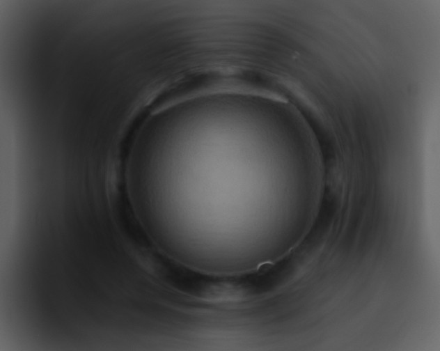 X0000095680544200801081231