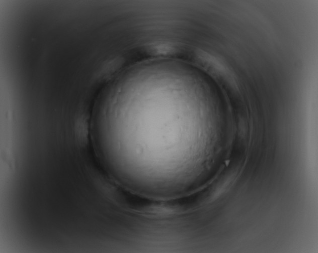 X0000095680545200801081231