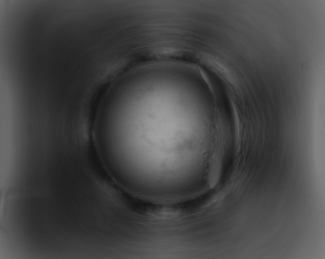 X0000095680546200801081231