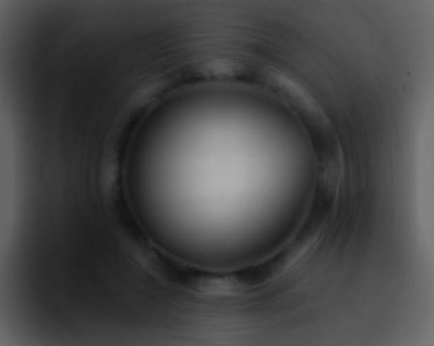X0000095680548200801081231