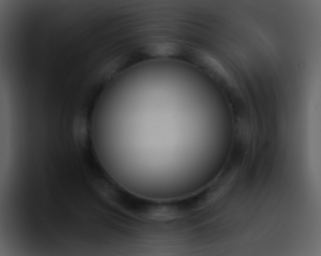 X0000095680549200801081231