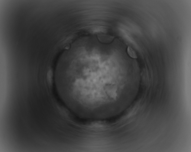 X0000095680550200801081231