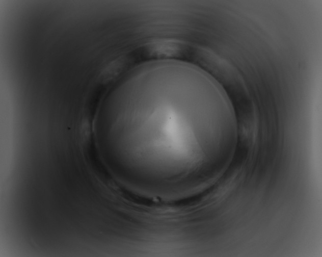 X0000095680551200801081231