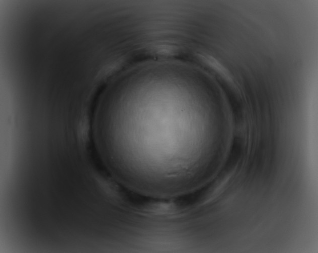 X0000095680552200801081231