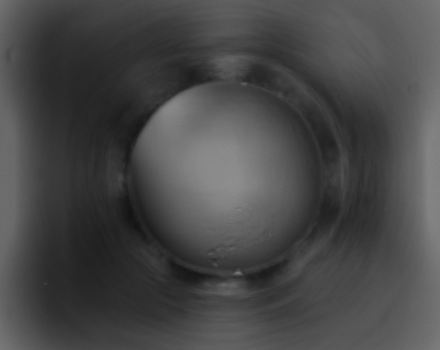 X0000095680553200801081231