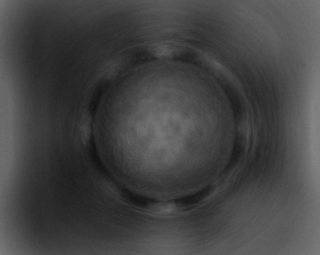 X0000095680554200801081231