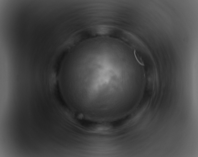 X0000095680555200801081231