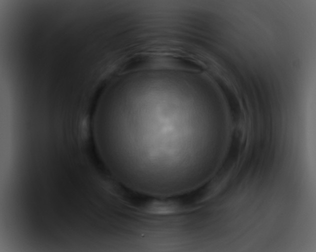 X0000095680556200801081231
