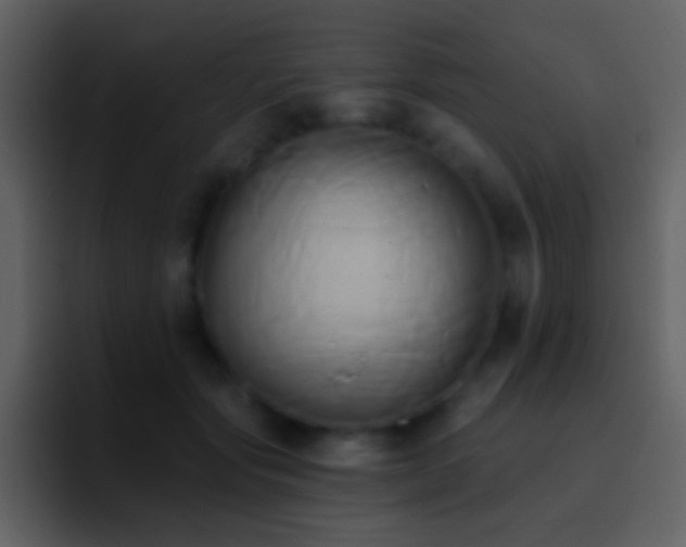 X0000095680557200801081231
