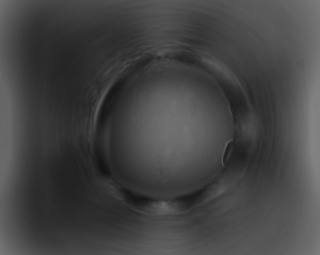X0000095680558200801081231