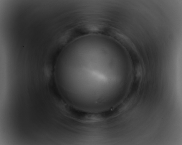 X0000095680559200801081231