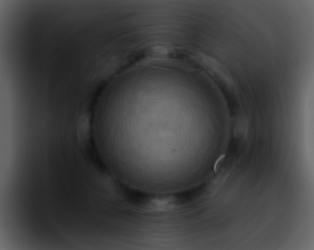 X0000095680560200801081231