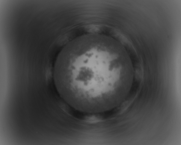 X0000095680561200801081231