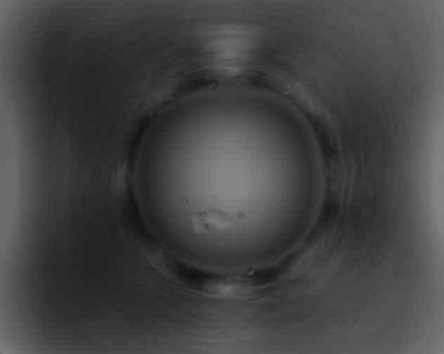 X0000095680563200801081231