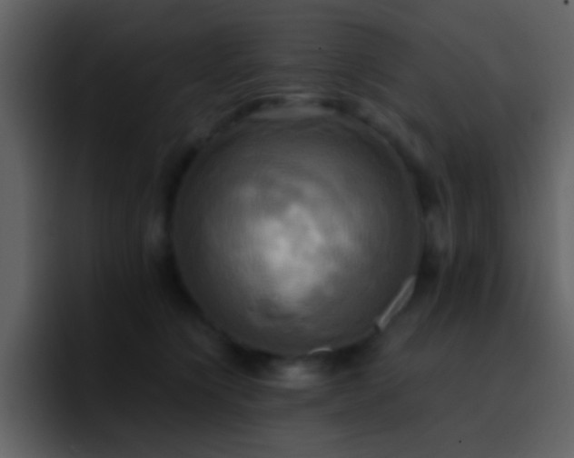 X0000095680564200801081231