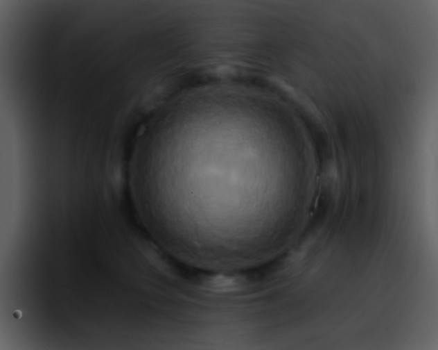 X0000095680566200801081231