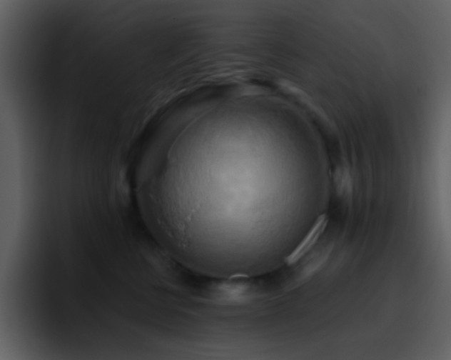 X0000095680570200801081231