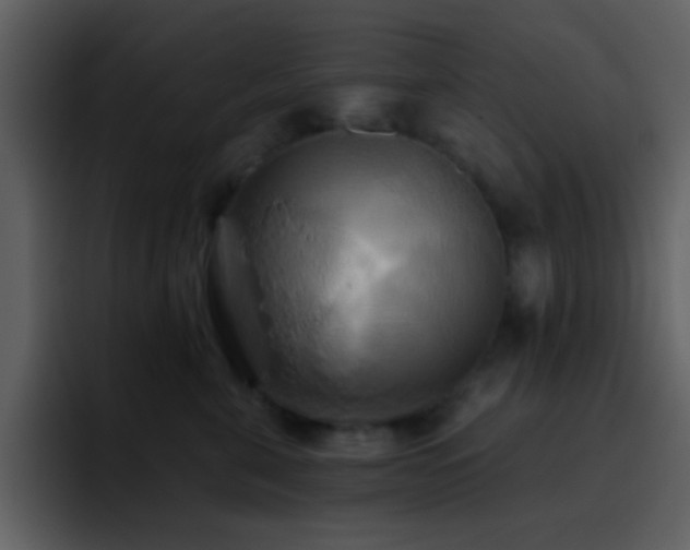 X0000095680571200801081231